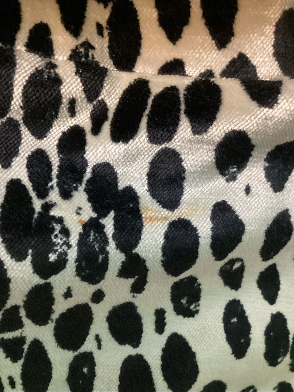 Dalmatian Print Double Breasted Jacket - Picture 5 of 8
